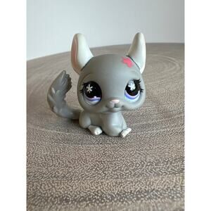 Littlest Pet Shop LPS #495 Chinchilla Grey w/ Pink  Flower Purple Eyes 2007